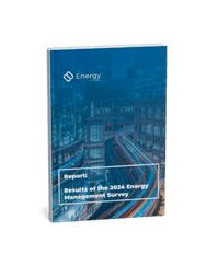 EN - Energy Survey Report 2024 Cover