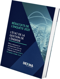 Résultats de l'Enquête sur l'Énergie 2021 [Rapport] | Spacewell Energy by Dexma