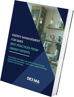 Energy Efficiency for SME Companies and ESCOs [Guide] | Spacewell Energy