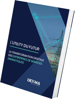 Solution de Gestion de l'Énergie Pour Les Fournisseurs d'Énergie [Guide] | Spacewell Energy by Dexma