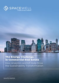 The Energy Challenge in Commercial Real Estate